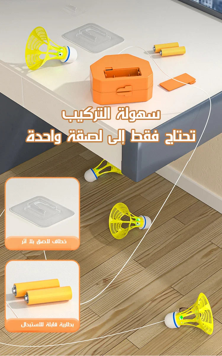 اللعبة التدريبية الكهربائية للريشة